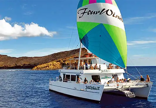 Molokini Snorkel is the best snorkel tour on Maui